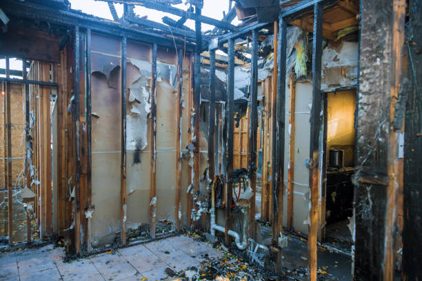 Professional Fire Damage Removal technician working in Altamonte Springs, FL