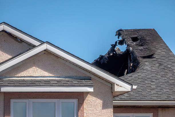 Top rated local Fire Damage Removal specialists in Altamonte Springs, FL
